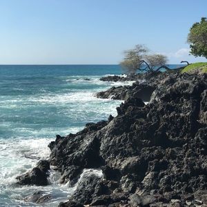 Meet your Posher, Molly